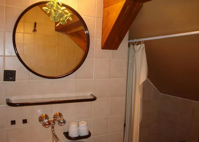 Gasthuis V Ceskem Raji 3*